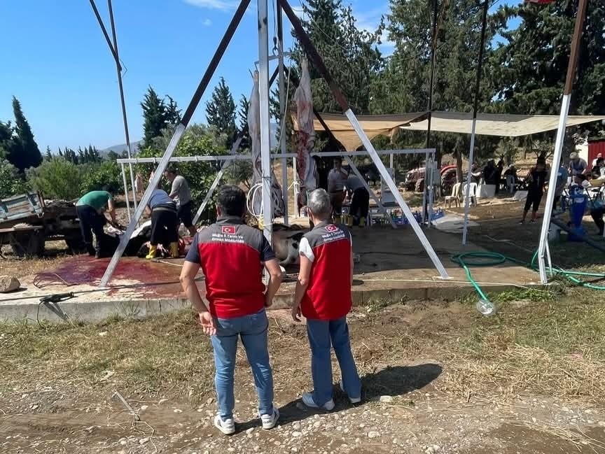 Muğla’da Kurban Kesim ve Satış Alanlarına Sıkı Bayram Denetimi